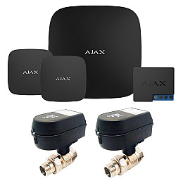 Комплект сигнализации Ajax и кран с электроприводом Honeywell 220 Duo