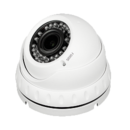 Гібридна антивандальна камера GreenVision GV-114-GHD-H-DOK50V-30