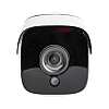 Гібридна камера GreenVision GV-181-GHD-H-СOK50-30