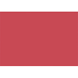 Чернильна подушечка Tsukineko VersaColor 10 x 6 см Алая 211511821