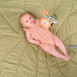 Детский развивающий кубик Taf Toys Веселые малыши KD98689