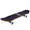 Скейтборд Fish Wolf SK-414-5 78x20x1,2 см Черный (SK000772)