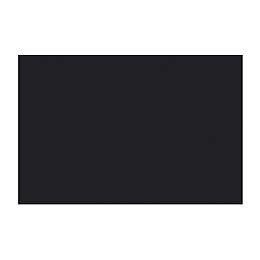 Чернильна подушечка Tsukineko StazOn 10 x 6 см чорна 2118796001