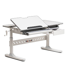 Детский комплект мебели FunDesk Fiore SST3LS Серый (234567)