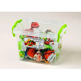 Контейнер харчовий Ал-Пластик 1.1 л Ал 21