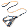 Шлея для собак с поводком Pipitao Cage 2*120 см Blue (8917-35852)