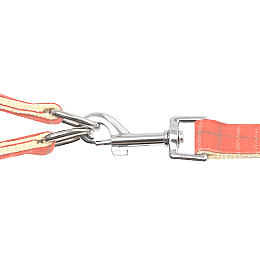 Шлея з повідцем для собак Pipitao Cage Peach 2*120 см (8919-35855)