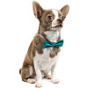 Бабочка Pet Fashion XS-M Бірюзовий (4823082425488)