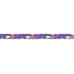 Шнур Beal 2 мм x 120 м Фіолетовий (1046-BC02.120.V)