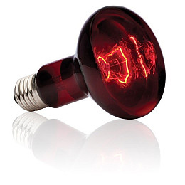 Лампа інфрачервона для терраріуму Exo Terra R20/50W (15561221412)