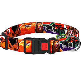 Ошейник для собак Hi Dog XS 10 мм 18-28 см Safari Різнокольоровий (2100102270016)