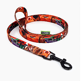 Поводок Hi Dog 10 мм х 152 см Safari Разноцветный (2100102352019)