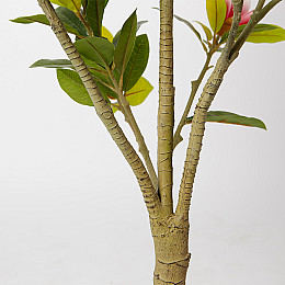 Искусственное растение Engard Magnolia, 150 см (DW-18)