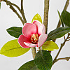 Искусственное растение Engard Magnolia, 150 см (DW-18)