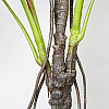 Искусственное растение Engard Monstera, 165 см (DW-22)