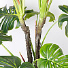 Искусственное растение Engard Monstera, 165 см (DW-22)