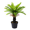 Искусственное растение Engard Cycas Palm, 60 см (DW-24)