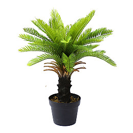 Штучна рослина Engard Cycas Palm, 60 см (DW-24)