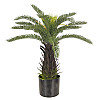 Искусственное растение Engard Fan Palm, 60 см (DW-25)