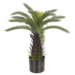 Штучна рослина Engard Fan Palm, 60 см (DW-25)