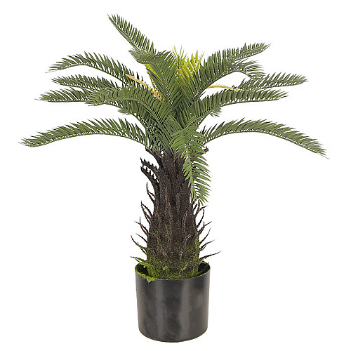 Искусственное растение Engard Fan Palm, 60 см (DW-25)