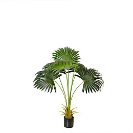 Штучна рослина Engard Fan Palm, 95 см (DW-26)