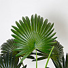 Искусственное растение Engard Fan Palm, 95 см (DW-26)
