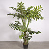 Штучна рослина Engard Lacy Tree, 150 см (DW-29)