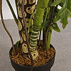 Штучна рослина Engard Lacy Tree, 150 см (DW-29)