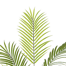 Искусственное растение Engard Areca Palm, 150 см (DW-30)