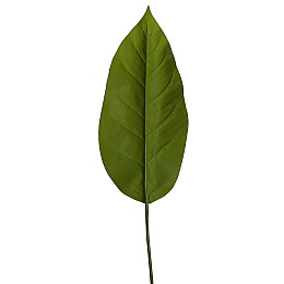 Штучні листя Engard Spathiphyllum 65 см (DW-33)