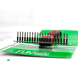 Граблі для тварин однорядні FUNtastic 16x11 см