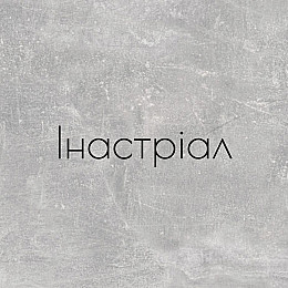 Шкаф-купе ViAnt Ligth1 1000х450x2200 мм Индастриал (11381)
