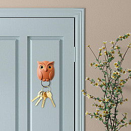 Крючок магнитный для ключей сова Stenson Коричневый 5х6х4 см (id_512)