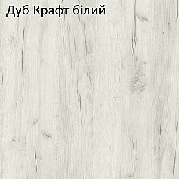 Шкаф-купе ViAnt Light1 1000х450x2400 мм Дуб Крафт белый (12668)