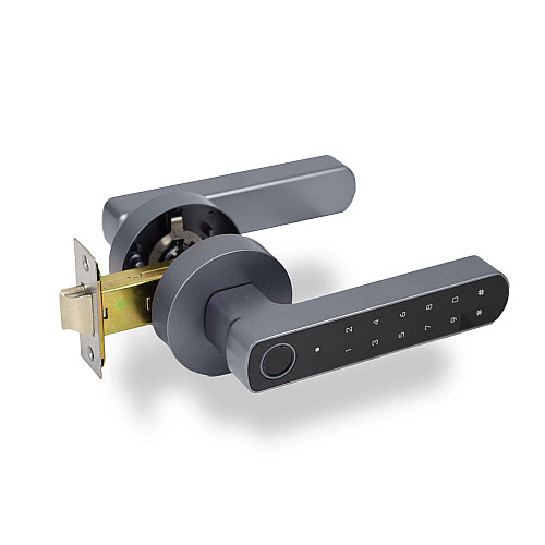 Умний дверний замок Atis Lock BT-100-T Grey