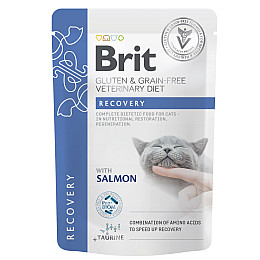 Вологий корм Brit GF VD Recovery для кішок з лососем 85 г (101116_1) (16180)