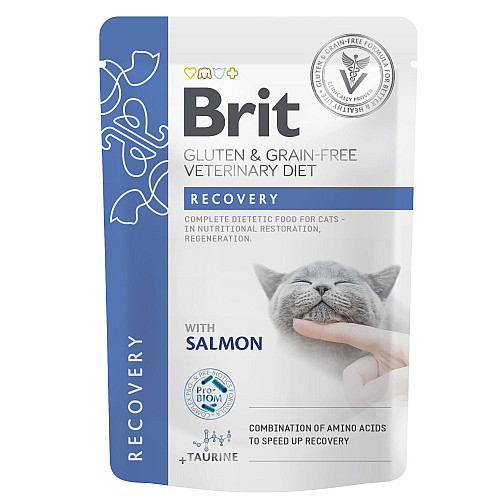 Вологий корм Brit GF VD Recovery для кішок з лососем 85 г (101116_1) (16180)