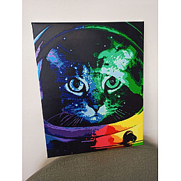 Картина по номерам Котонавт Riviera Blanca (RB-0061)