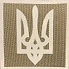 Светроотражающий Шеврон 5*5 Герб Tactic 4profi