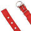 Ошейник для собак Taotaopets 177701 L Червоний (5533-17352)
