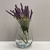 Ваза стеклянная 18 см Trendglass Asta 35445