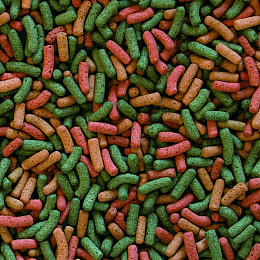 Сухий корм для водоплавних черепах Tropical Biorept W палочки 100 мл 30 г (11363)