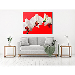 Картина на холсті ProfART (S4560-C183)