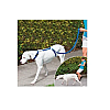 Ошейник для собак Instant Trainer Leash Синій (vol-600)
