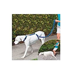 Ошейник для собак Instant Trainer Leash Синій (vol-600)