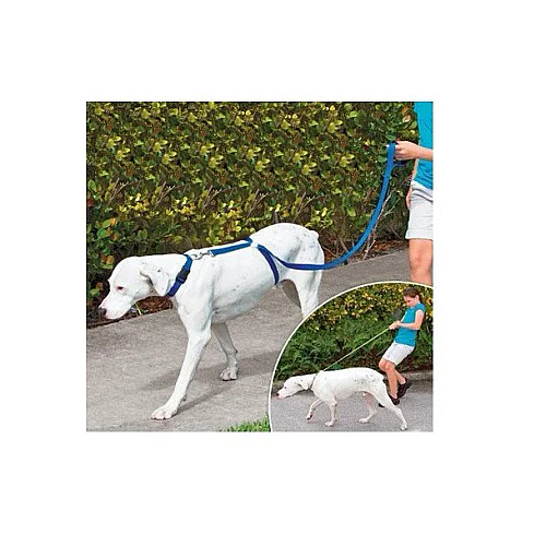 Ошейник для собак Instant Trainer Leash Синій (vol-600)