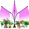 Светодиодная фитолампа GrowLight 3 Full Spectrum (202012)