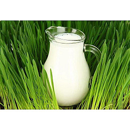 Кувшин Bistro Jugs 250мл Pasabahce DP38998