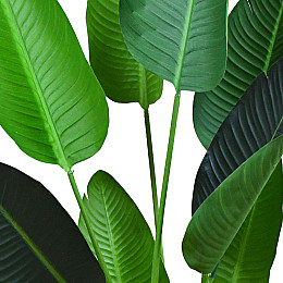 Искусственное растение Banana Tree 120 см (TW-24)